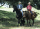 Ronald and Nancy Reagan riding horses on ranch in Santa Barbara, California photo print.