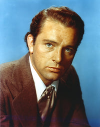 Close-up portrait photo print of Richard Burton in formal outfit.