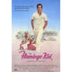 The Flamingo Kid Movie Poster Print in vibrant colors