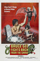 Bruce Lee Fights Back from the Grave Movie Poster Print 27x40