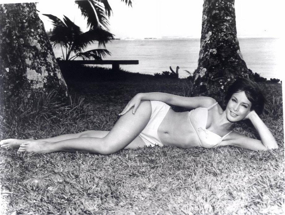 Barbara Eden Grass Photo Print - Classic Hollywood Photography