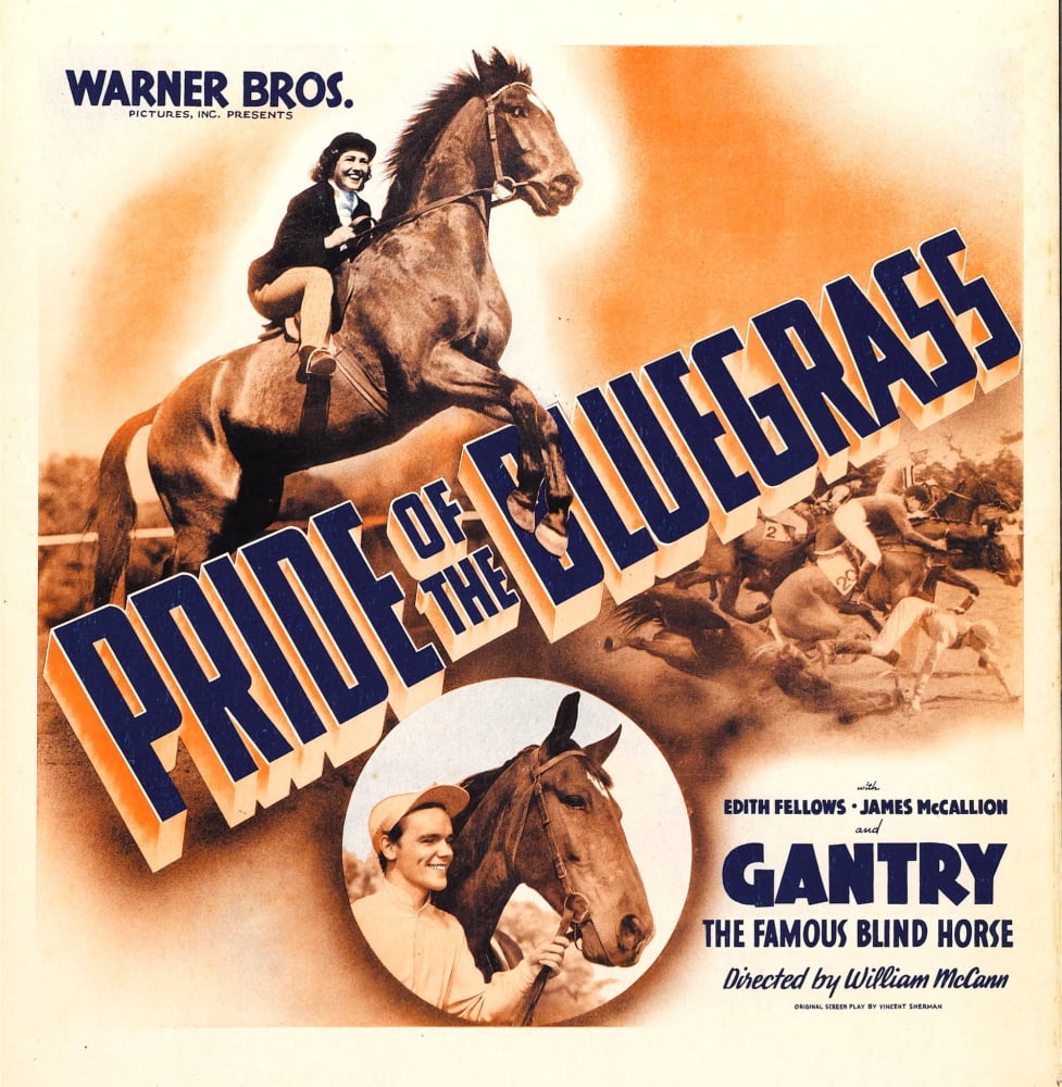 Bluegrass (aka Pride Of The Blue Grass) movie poster featuring Edith Fellows and James McCallion.