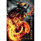 Ghost Rider Spirit of Vengeance movie poster 11x17