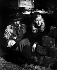 This Gun For Hire movie poster print featuring Alan Ladd and Veronica Lake, 1942.