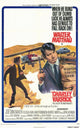 Charley Varrick Movie Poster 11x17 - Classic Film Art Print