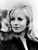 Where Eagles Dare photo poster print featuring Mary Ure from the 1968 film.