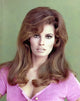 Raquel Welch 1960s photo print in various sizes