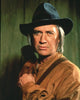 Kung Fu: The Legend Continues movie poster print 8x10