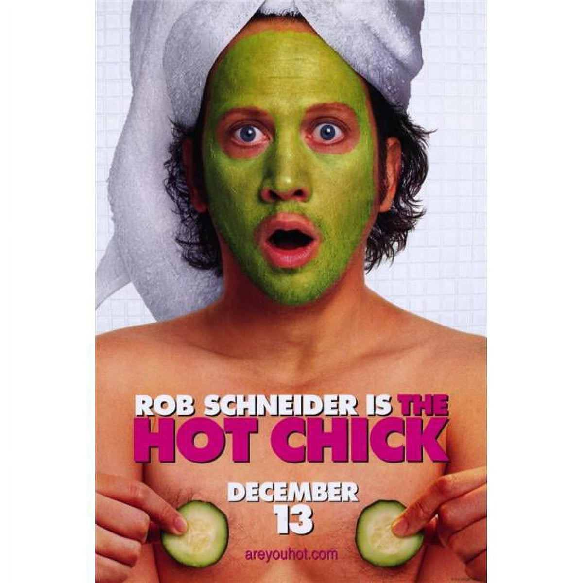 The Hot Chick Movie Poster Print - 27x40 inches