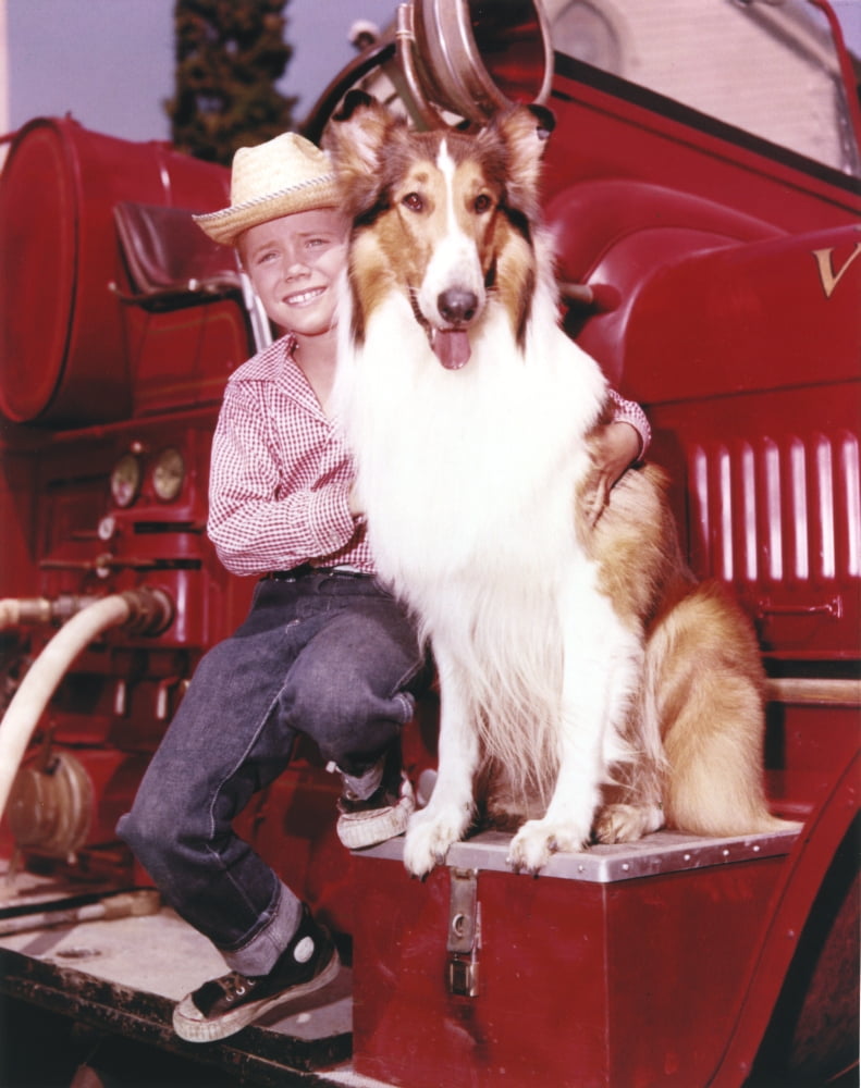 Lassie portrait with a boy posed on a red car photo print.