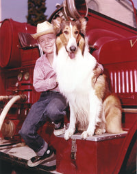 Lassie portrait with a boy posed on a red car photo print.