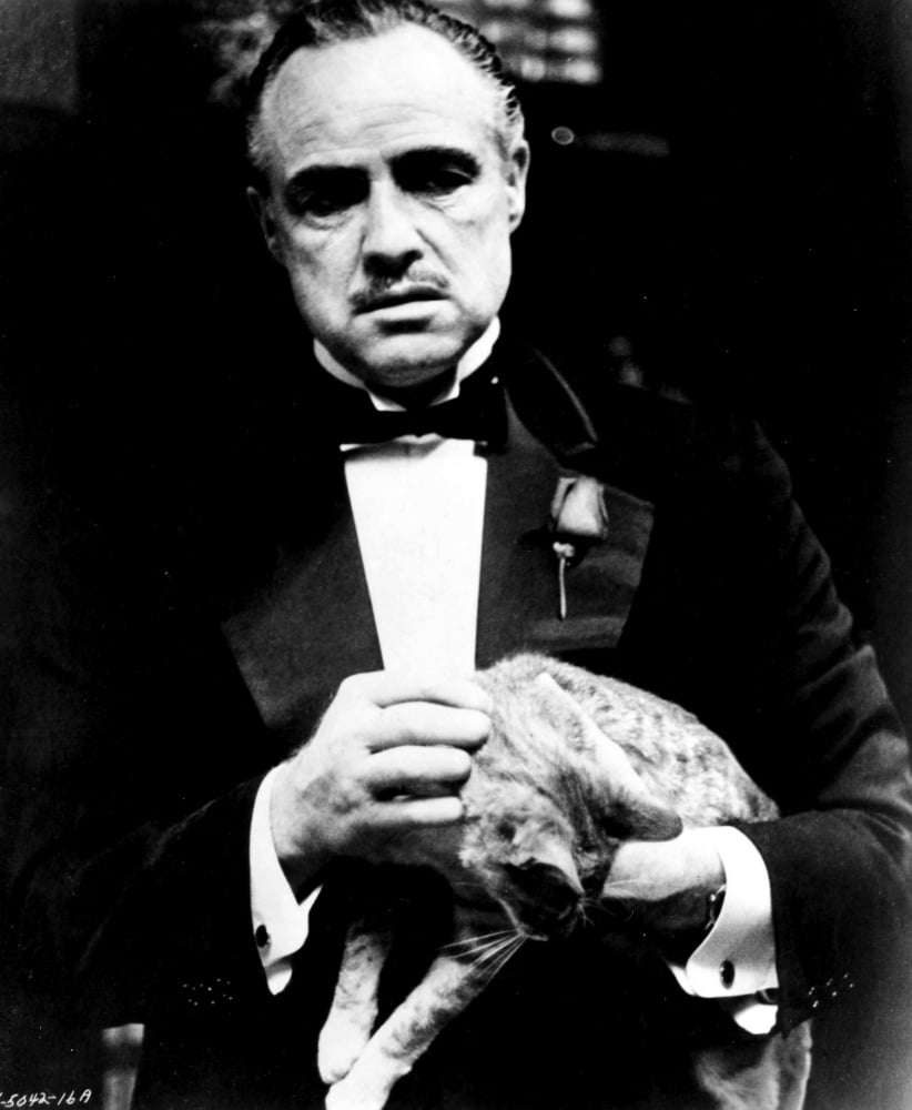 Marlon Brando holding a cat in The Godfather photo print.