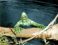 Creature from the Black Lagoon 1954 photo print.