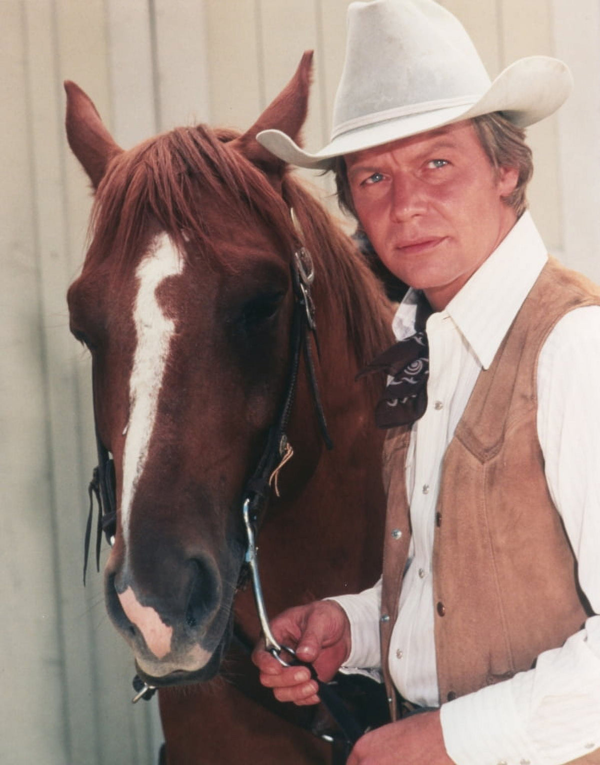 David Soul Horse Portrait Photo Print in multiple sizes