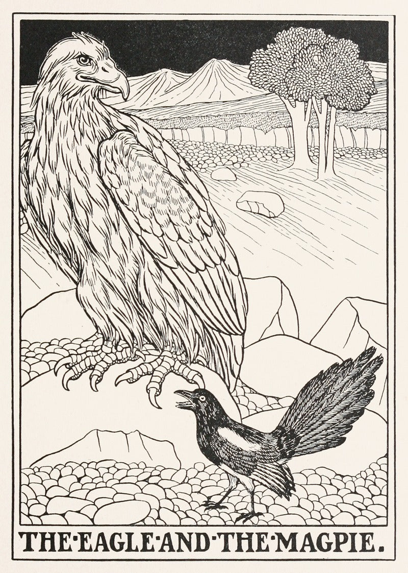 The Eagle and the Magpie art print by Percy J. Billinghurst, showcasing vibrant colors and intricate details.