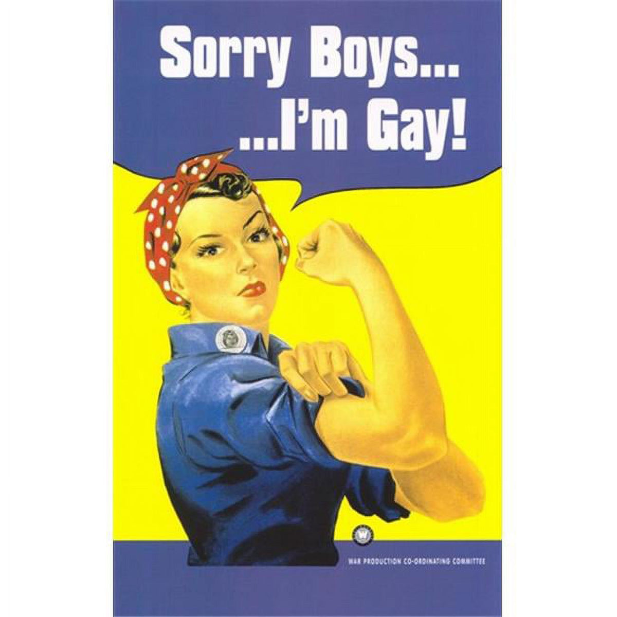 Sorry Boys I'm Gay movie poster 11x17