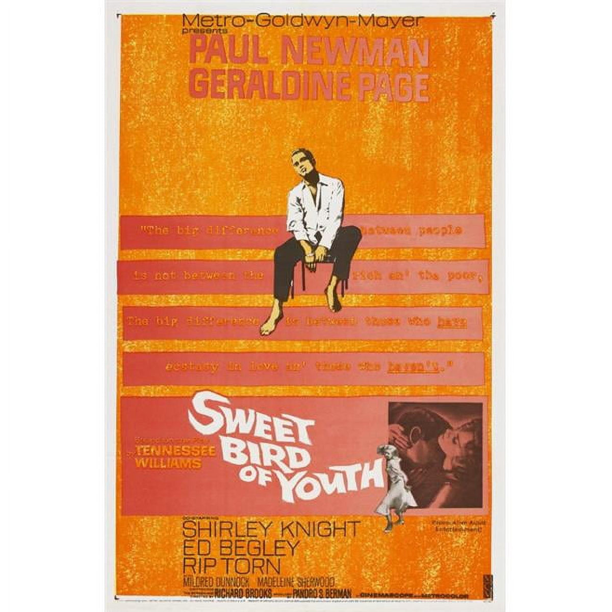 Sweet Bird of Youth Movie Poster Print 27x40 - Classic film art