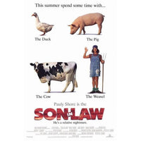 Son in Law Movie Poster 11x17 print showcasing vibrant design.