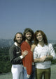 Bee Gees photo print showcasing iconic music legends.