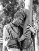 Film still of Peter O'Toole photo poster print