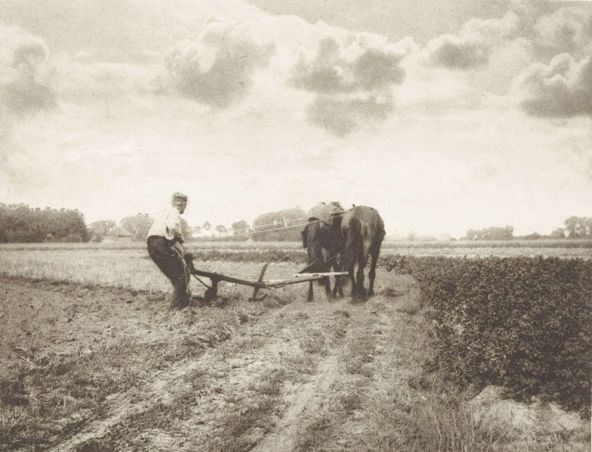 Plowman Working a Horse-Drawn Plow 1904 English Photograph Poster Print