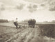 Plowman Working a Horse-Drawn Plow 1904 English Photograph Poster Print