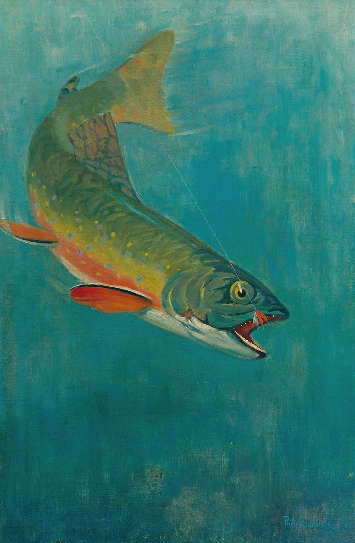 Catching The Bait Fine Art Print by Philip R. Goodwin
