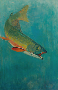 Catching The Bait Fine Art Print by Philip R. Goodwin