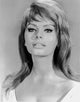 Sophia Loren classic photo print capturing the elegance of Hollywood.