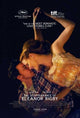 The Disappearance of Eleanor Rigby movie poster 11x17