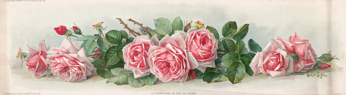 La France Roses floral art print by Paul de Longpre