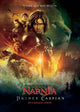 The Chronicles of Narnia Prince Caspian Movie Poster in 27x40 size.