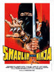 Mafia vs. Ninja Movie Poster 11x17 - Epic showdown artwork.