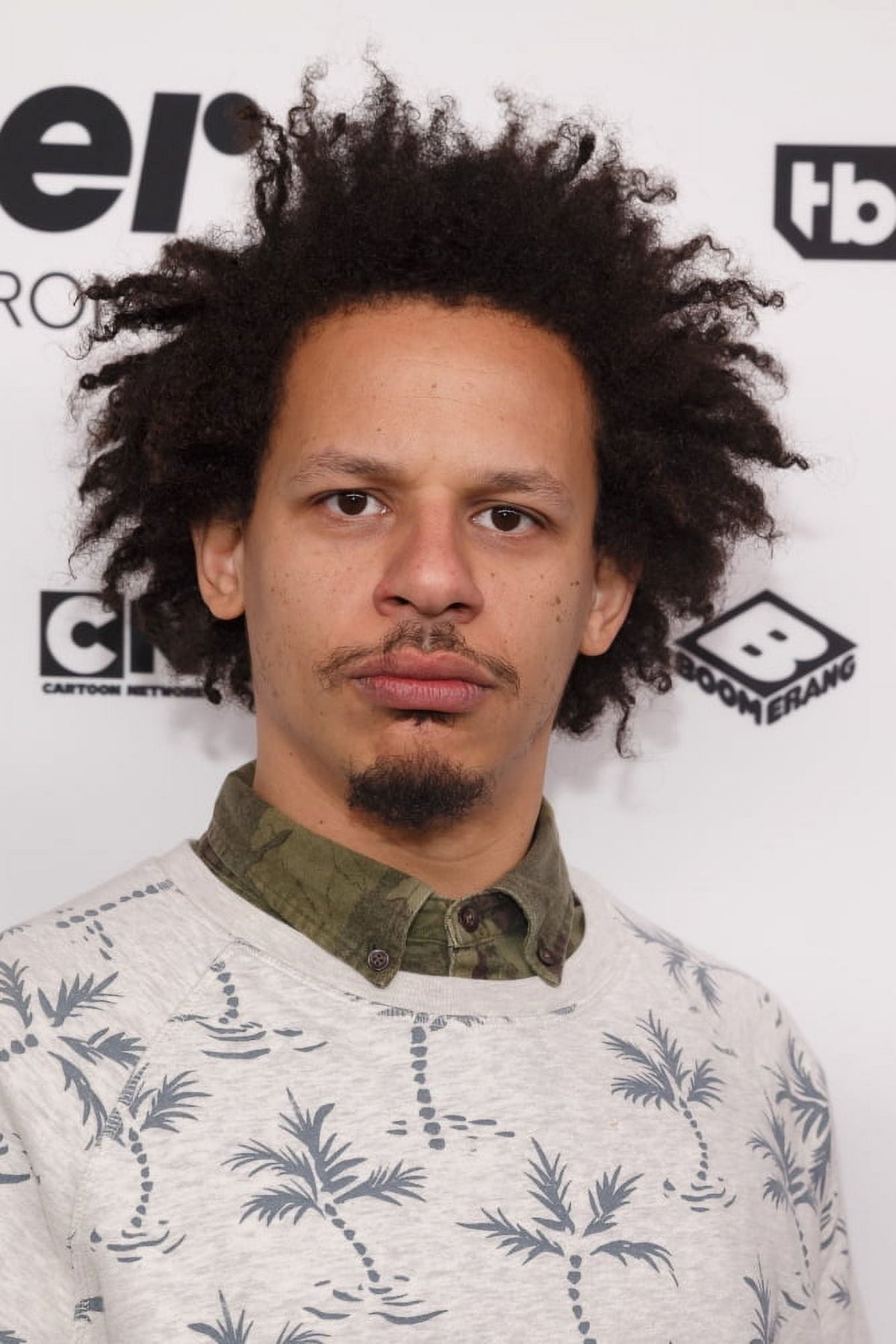 Eric Andre Red Carpet Arrival Photo Print - Jason Smith