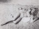 Ann Margret Shag Rug Photo Print showcasing classic beauty