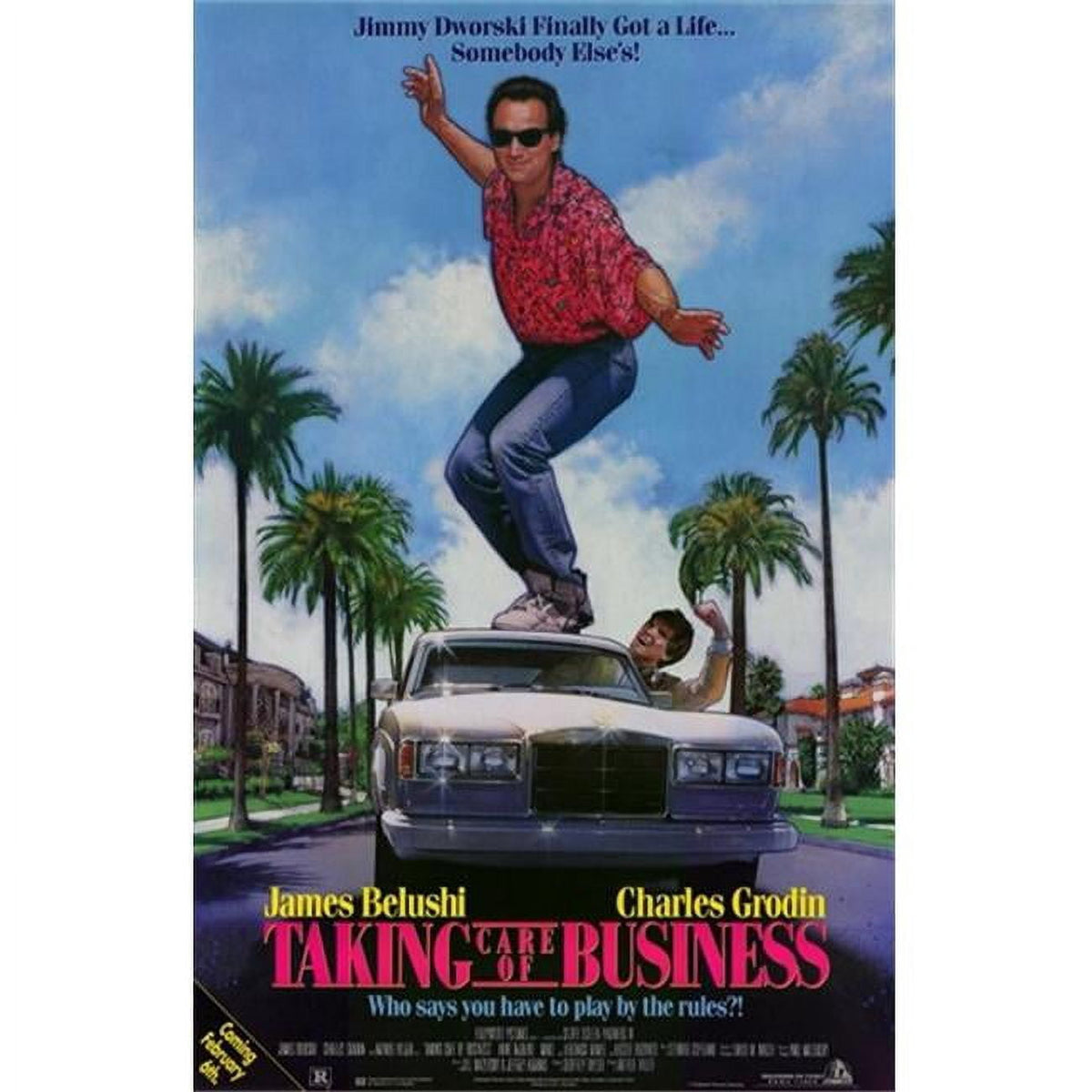 Taking Care of Business Movie Poster 11x17