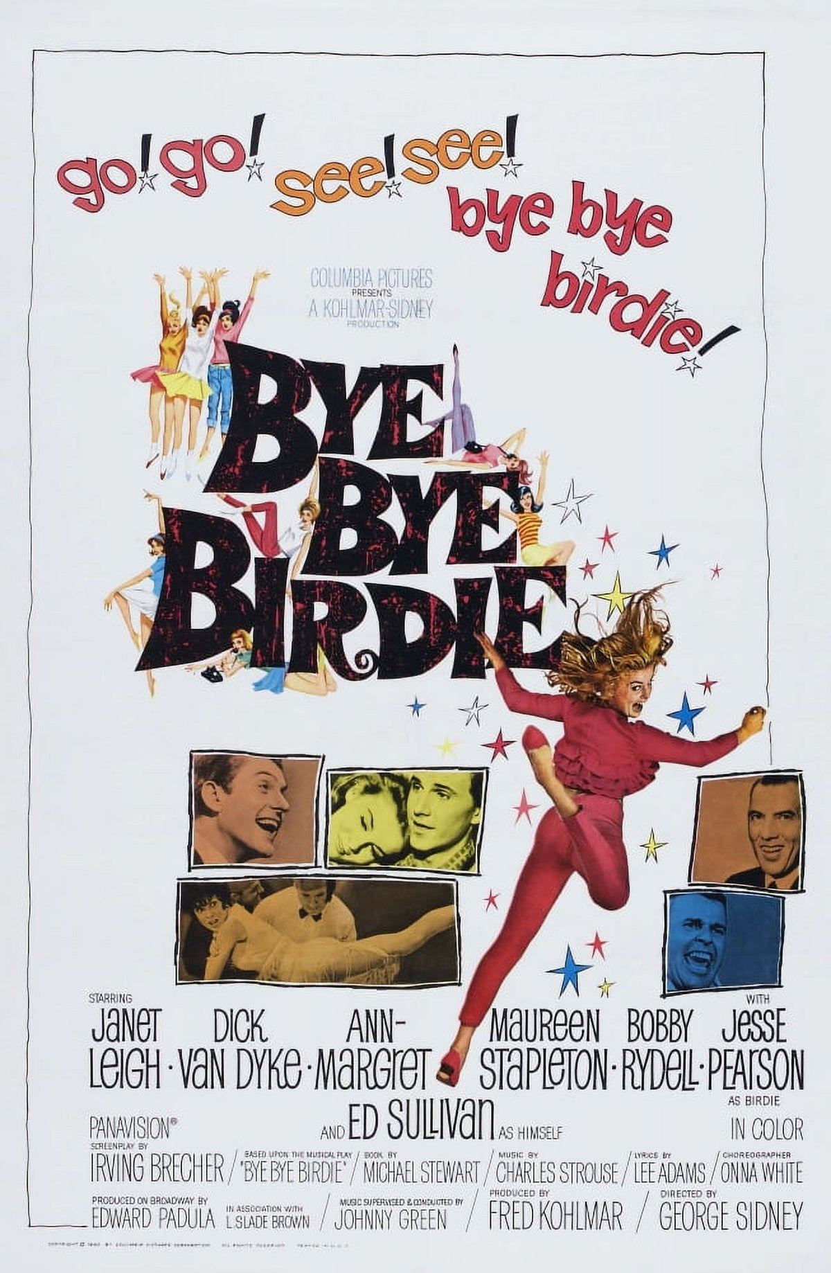 Bye Birdie Movie Poster Masterprint 11x17 and 24x30