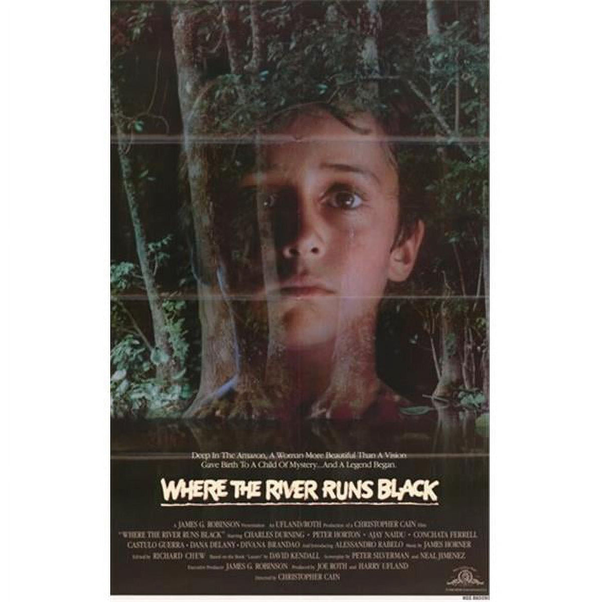 Where the River Runs Black movie poster 11x17 print