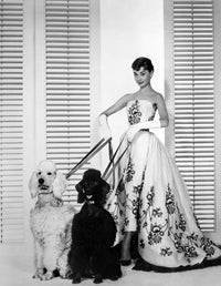 Audrey Hepburn Walking Dogs Photo Print capturing classic Hollywood elegance.