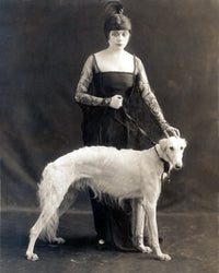 Vintage photo print of Theda Bara with her Russian Wolfhound Belva from 1916.