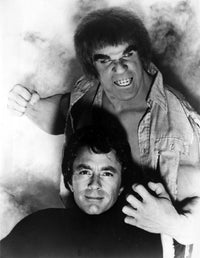 Bill Bixby and Lou Ferrigno Incredible Hulk photo print.