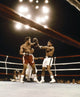 Muhammad Ali vs. George Foreman boxing photo print, capturing a historic moment in sports.