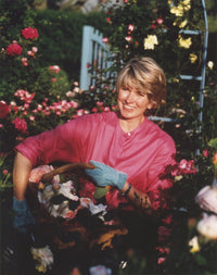 Martha Stewart posed in a flower field portrait photo print.