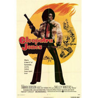 Cleopatra Jones Style B Movie Poster 11x17 inches