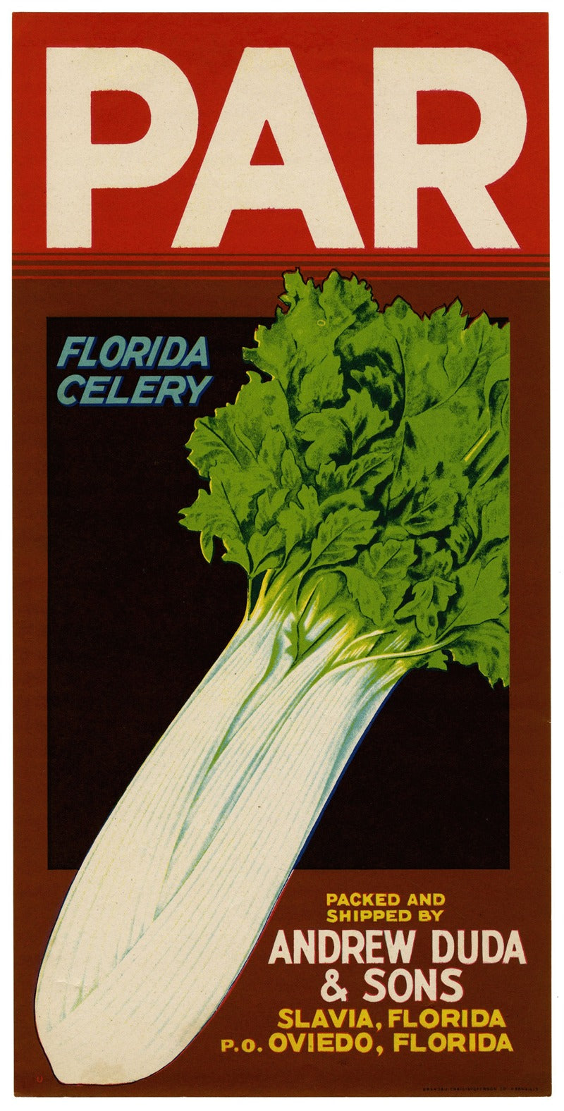 Vintage Par Florida Celery label poster print showcasing retro design.