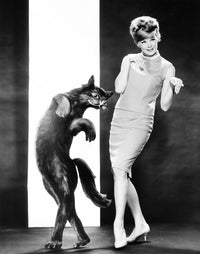 Linda Evans MGM Studio Publicity Photo Print from 1963