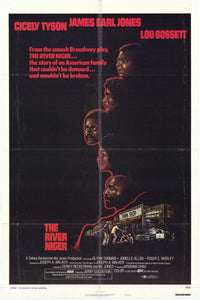 The River Niger Movie Poster - 11x17 print showcasing film drama.
