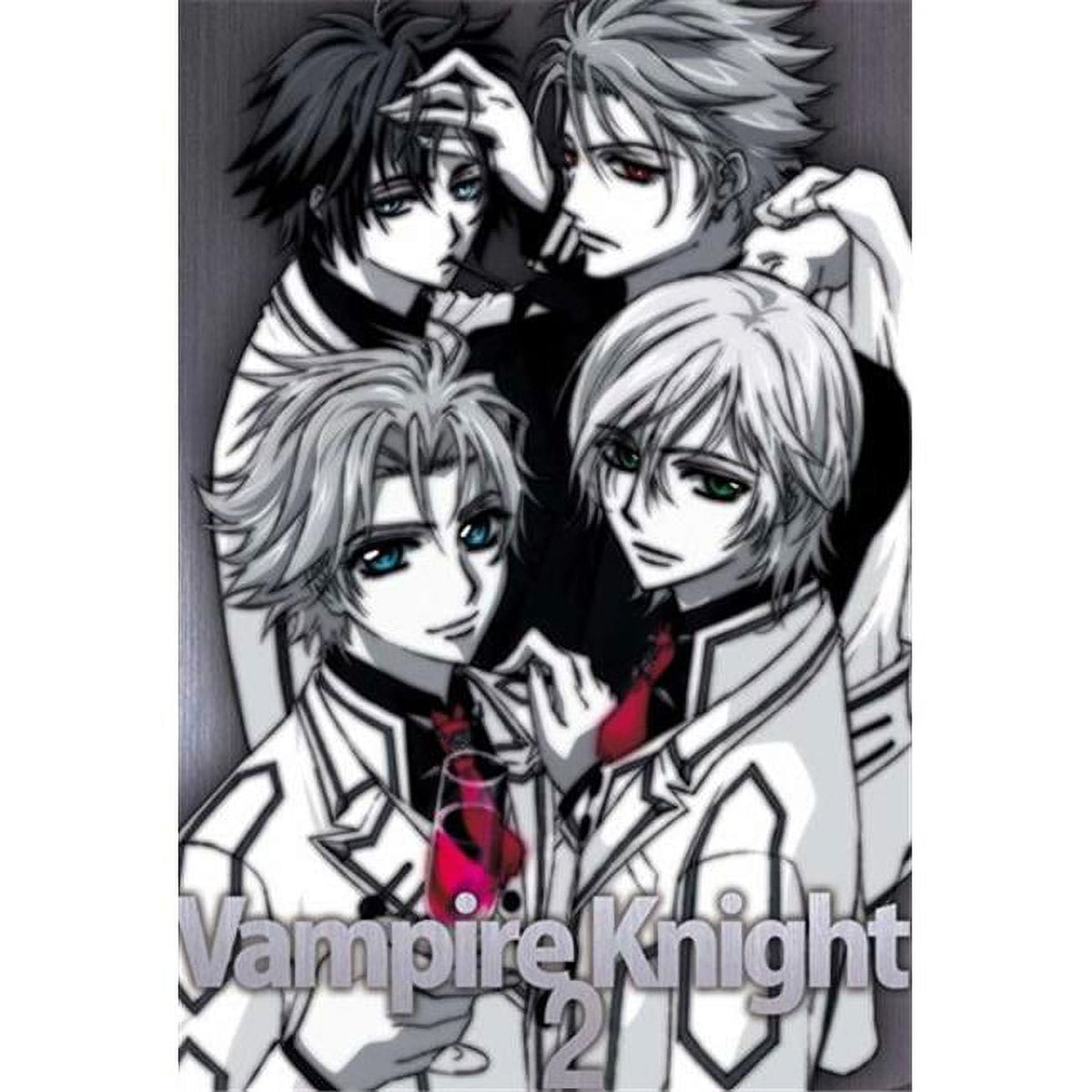 Vampire Knight Movie Poster 11x17 - Anime Decor