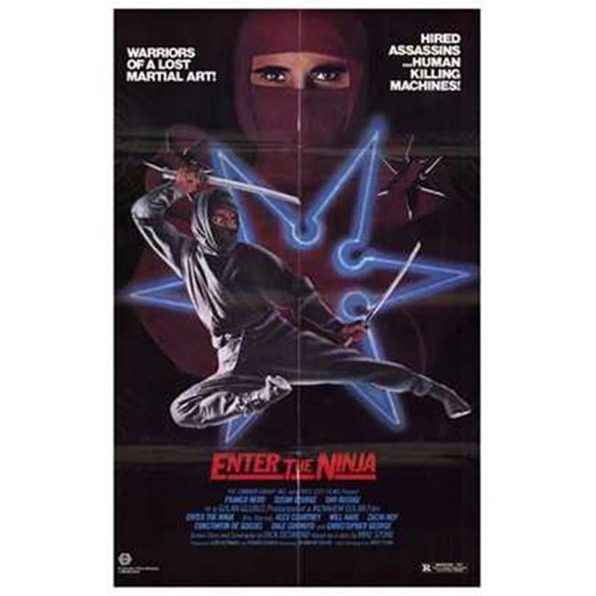 Enter the Ninja Movie Poster 11x17 Print