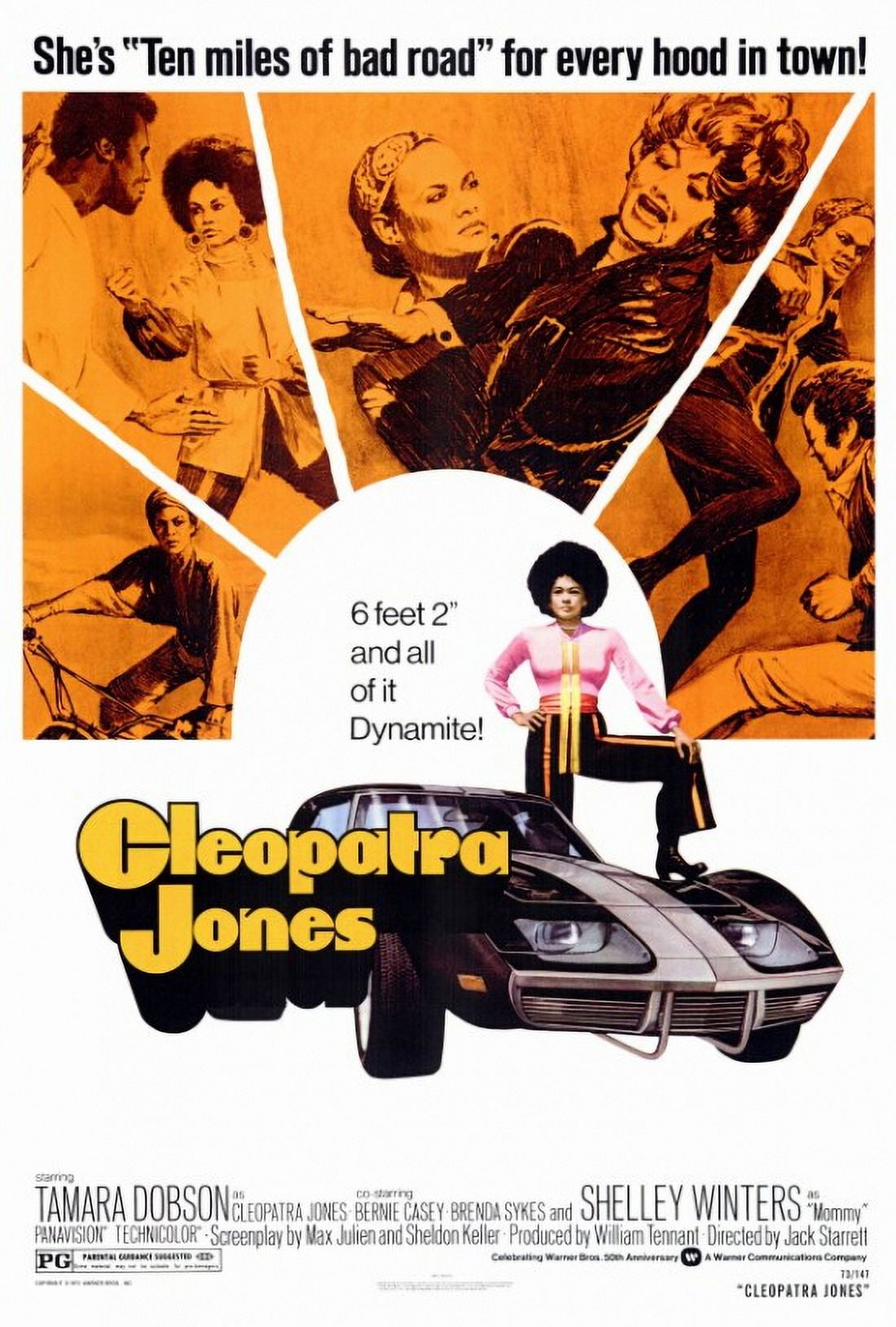 Cleopatra Jones Movie Poster Print - 27 x 40, vibrant 1970s cinema art.